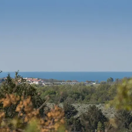 Bruneta 1 With Sea View *